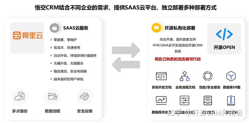 定制SaaS平台：以科技之力助力企业突破